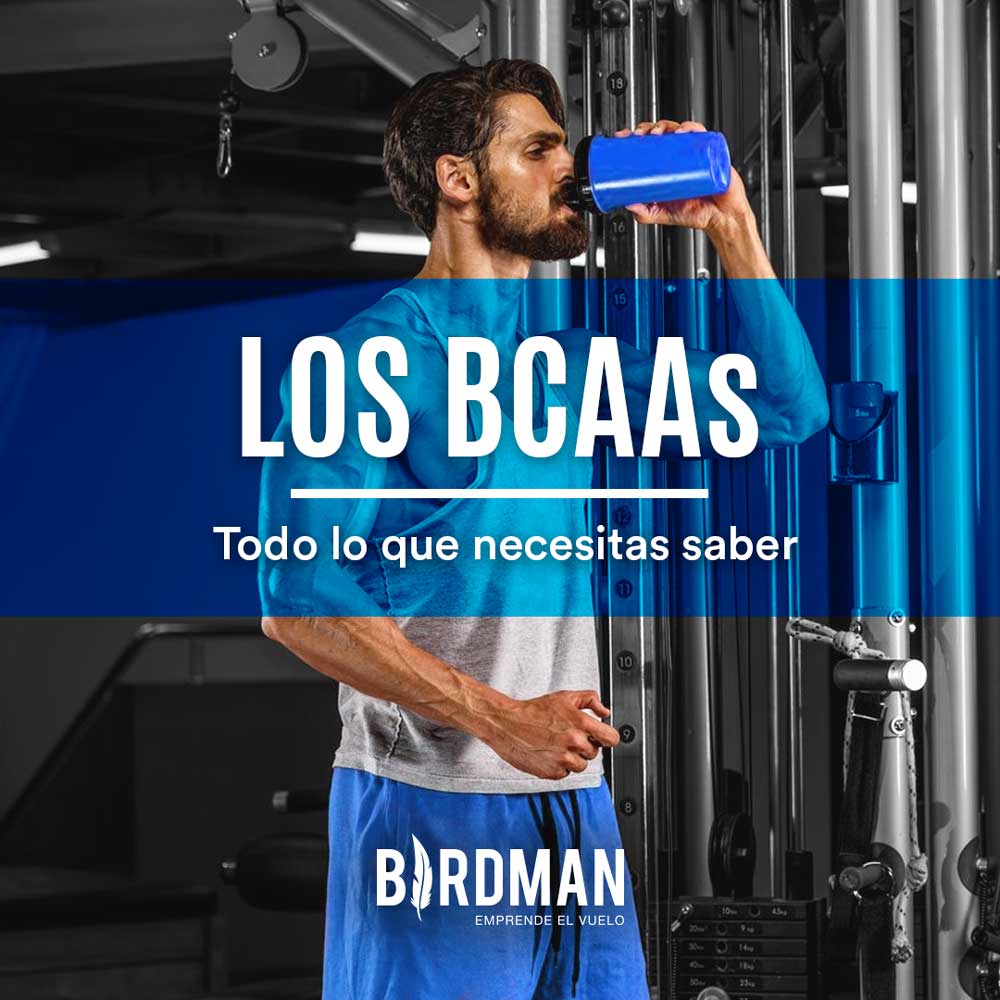 BCAAs ¿Qué Son y Para Qué Nos Sirven? | VidaBirdman