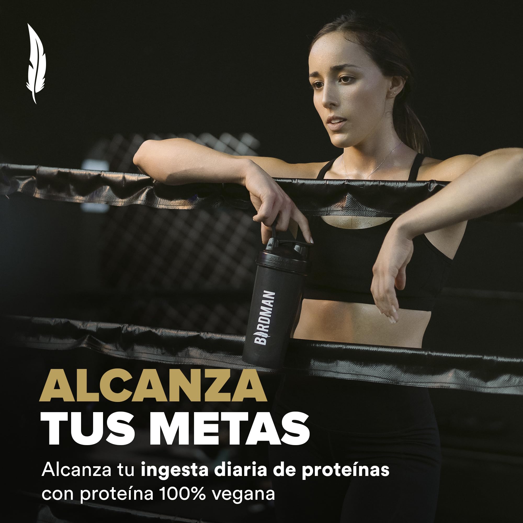 Falcon Performance Golden Vanilla 10 Pack Sobres