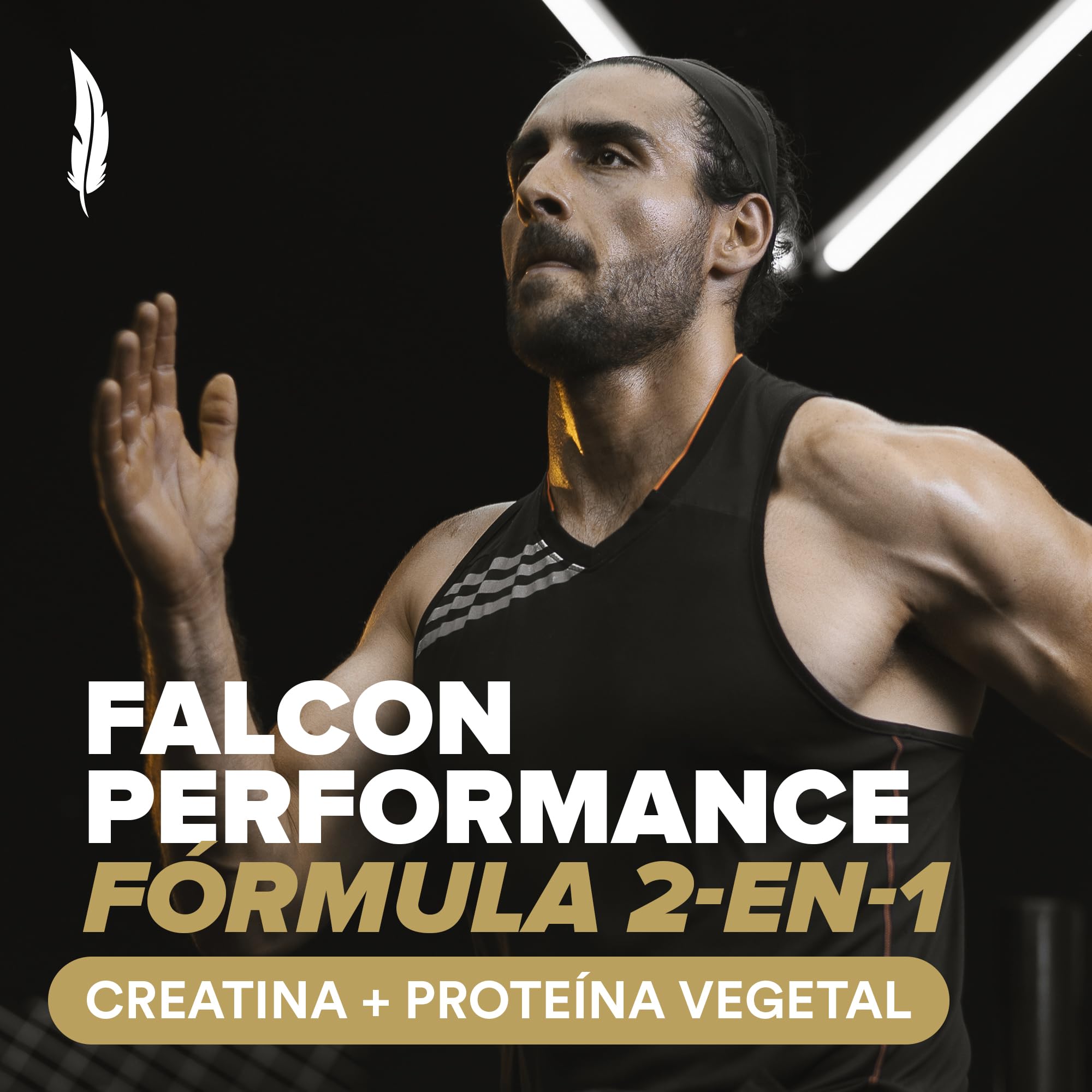 Falcon Performance Golden Vanilla 10 Pack Sobres