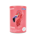 Fitmingo Protein Blueberry 510 g - 15 Servicios pack