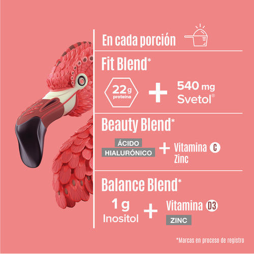 Fitmingo Protein Moka 1.02 kg - 30 Servicios - Pack
