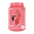 Fitmingo Protein Moka 1.02 kg - 30 Servicios - Pack