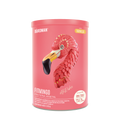 Fitmingo Protein Vainilla 510 g - 15 Servicios pack