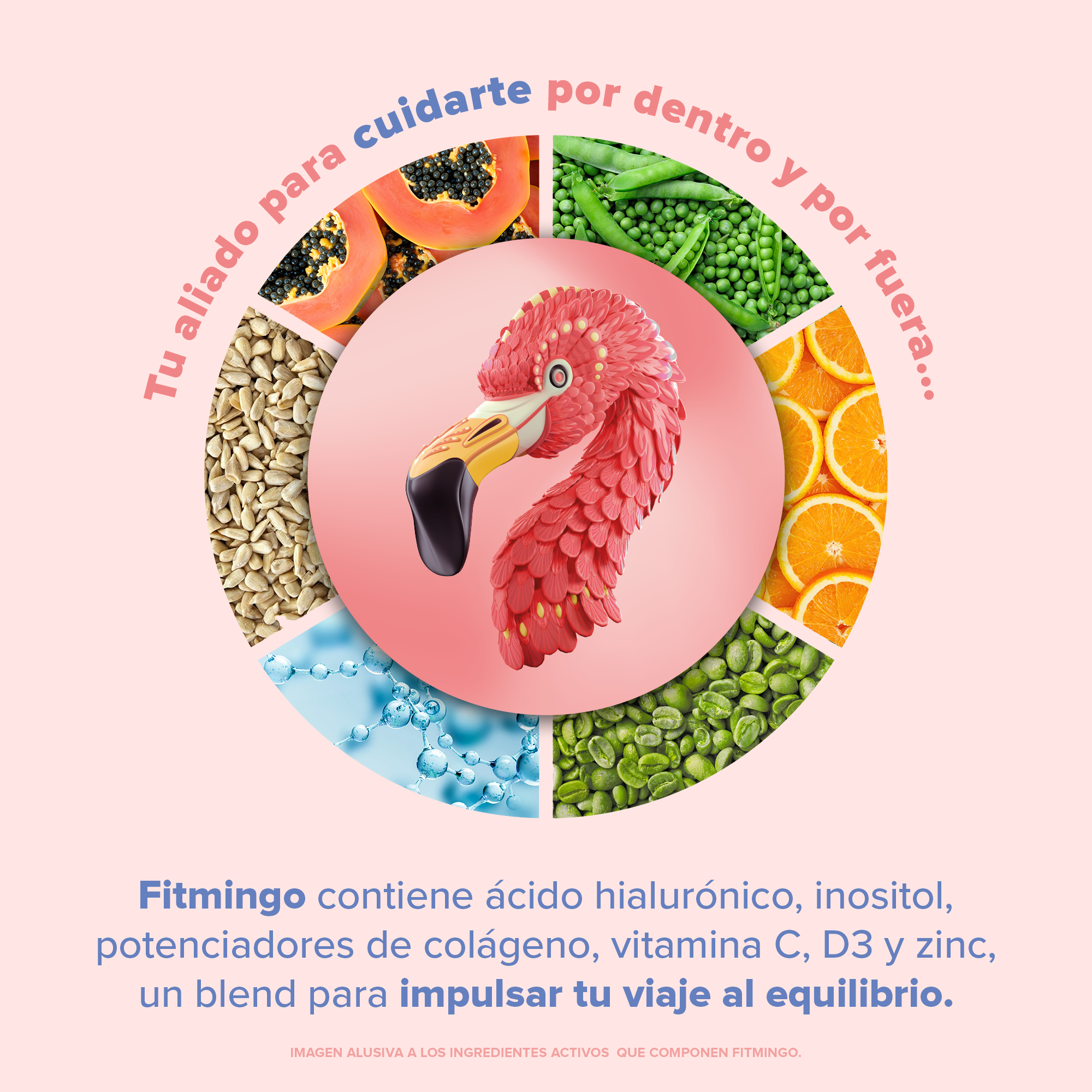 Fitmingo Protein Moka 1.02 kg - 30 Servicios