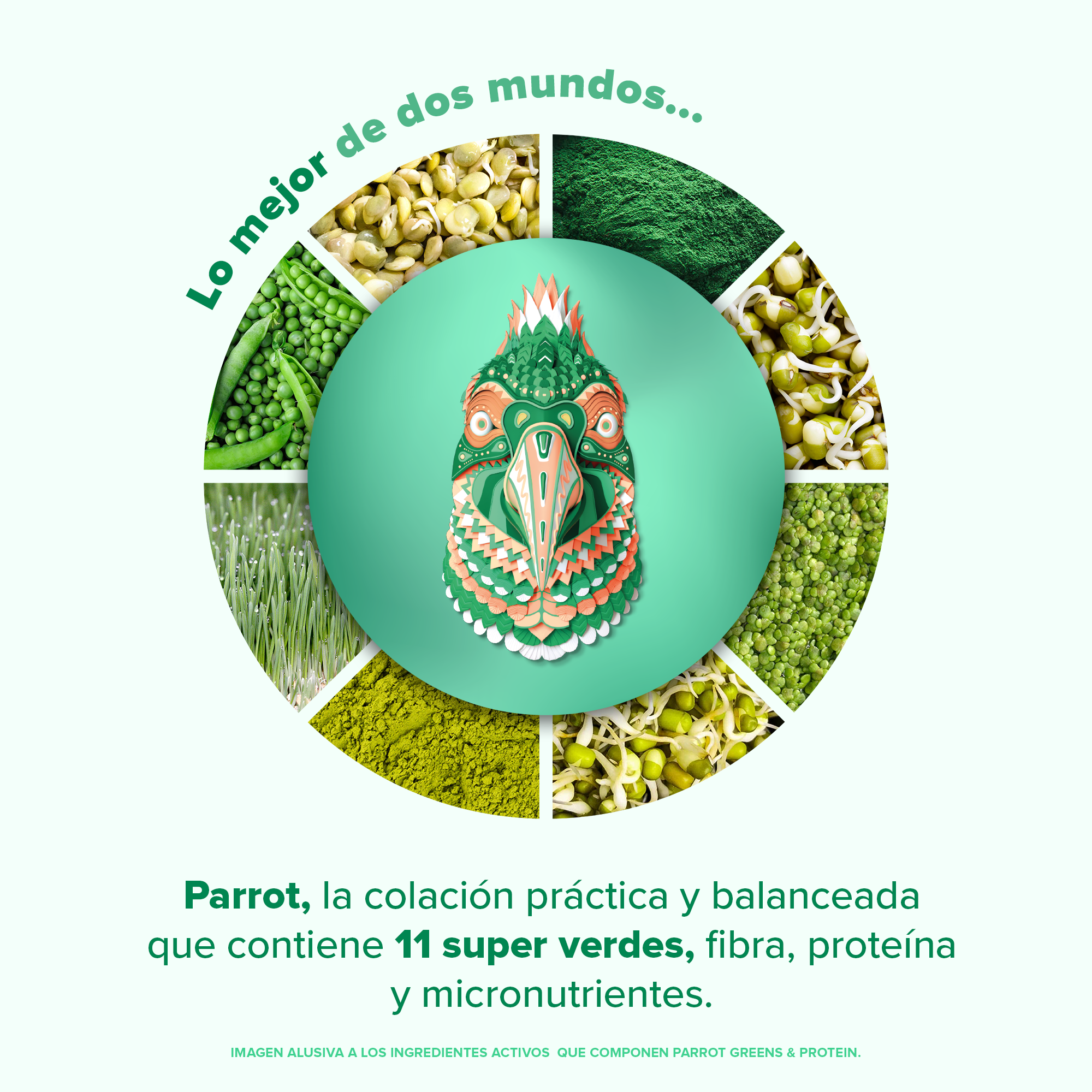 Parrot Greens & Protein Matcha 210 g - 7 Servicios