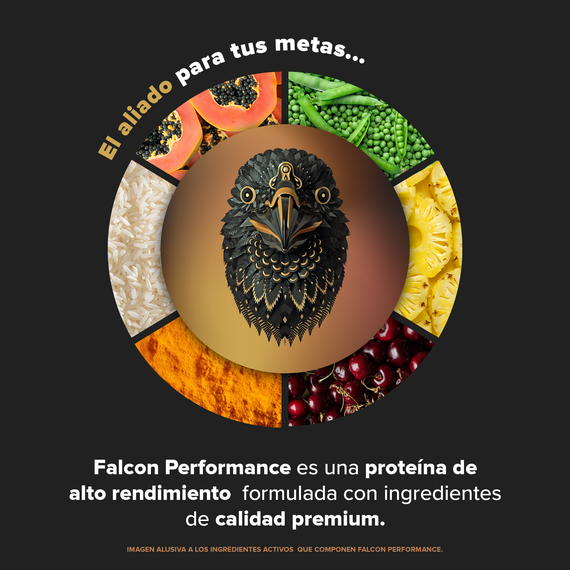 Falcon Performance Choco Bronze 1.14 kg - 30 Servicios pack