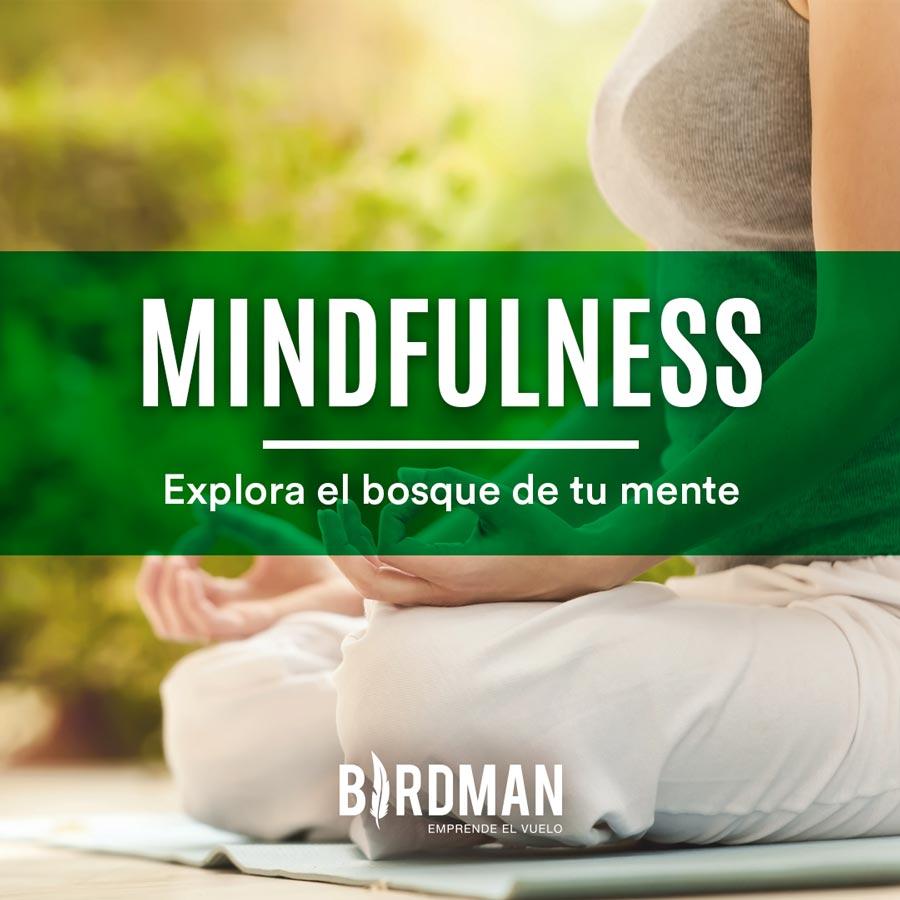 Mindfulness: Explora el Bosque de tu Mente