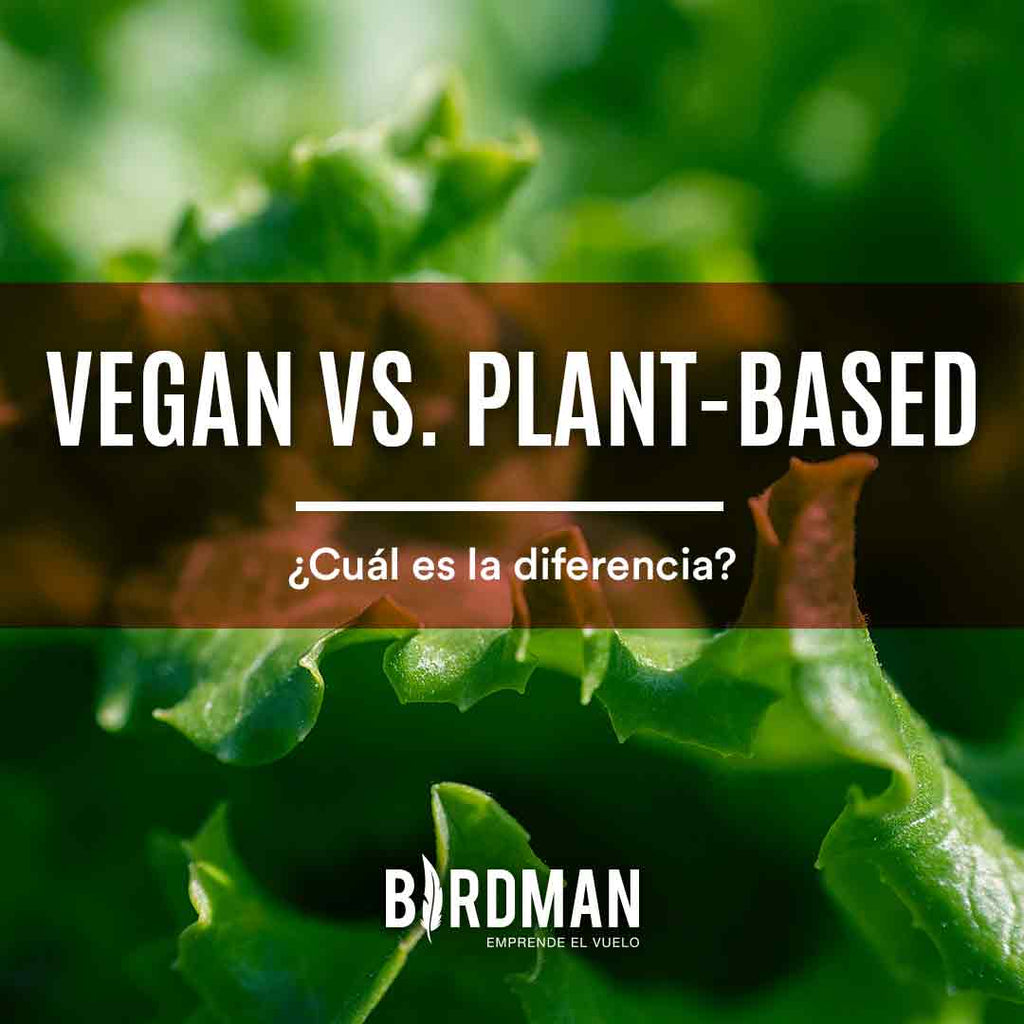 Diferencias entre Vegan y Plant-Based | VidaBirdman