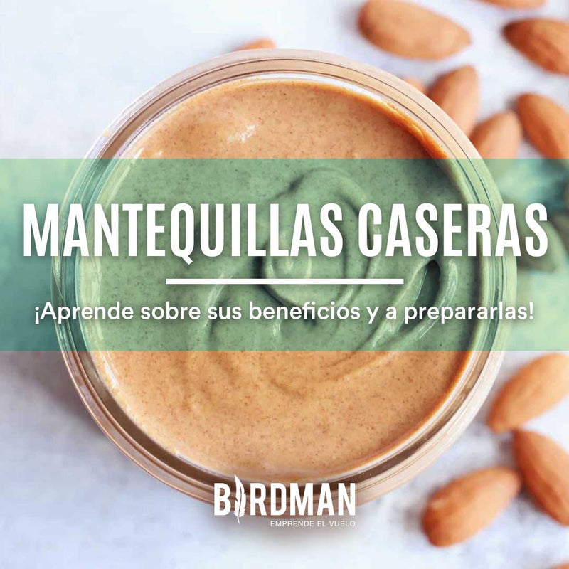 Guía Rápida sobre las Mantequillas de Frutos Secos | VidaBirdman