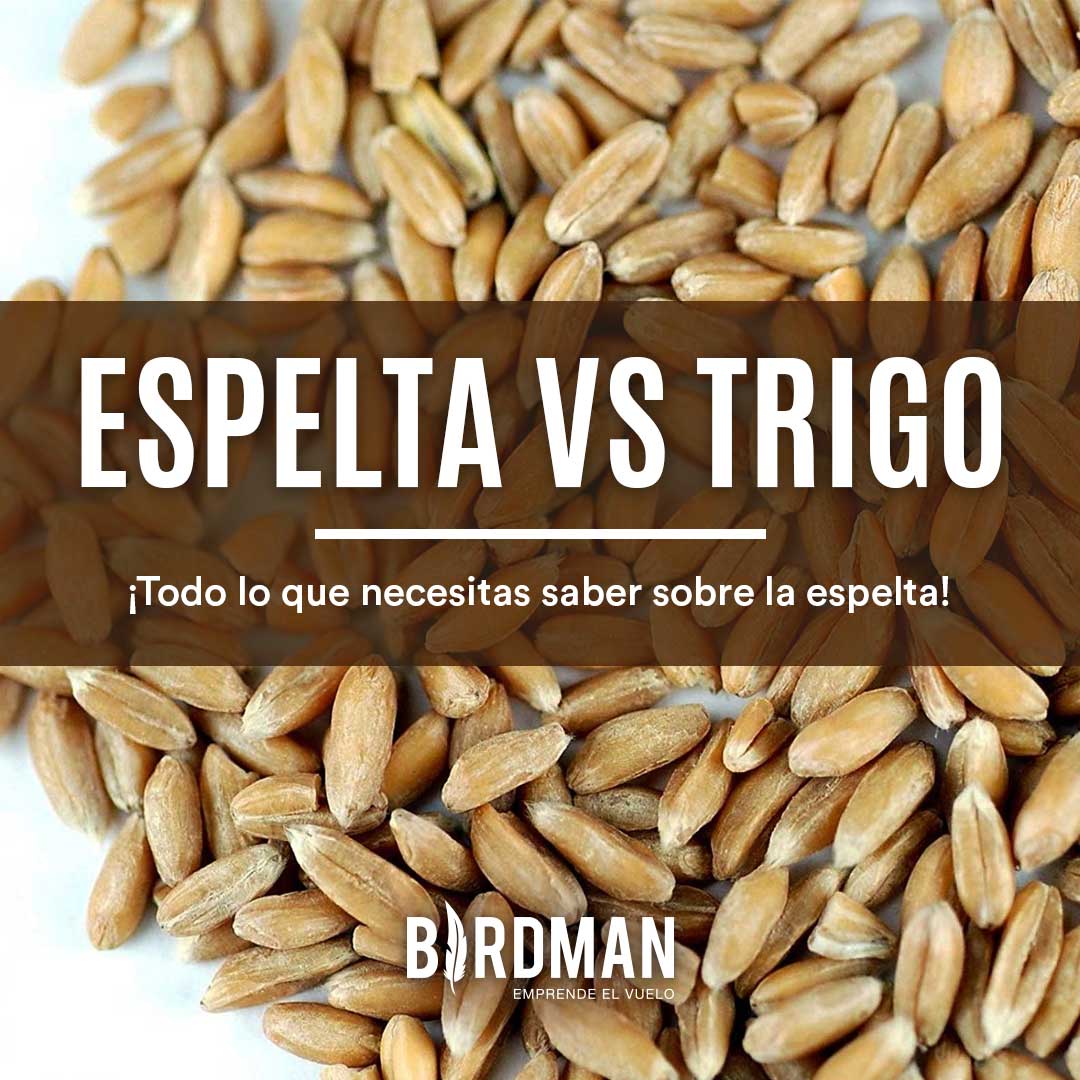 La Espelta: Propiedades y Beneficios | VidaBirdman