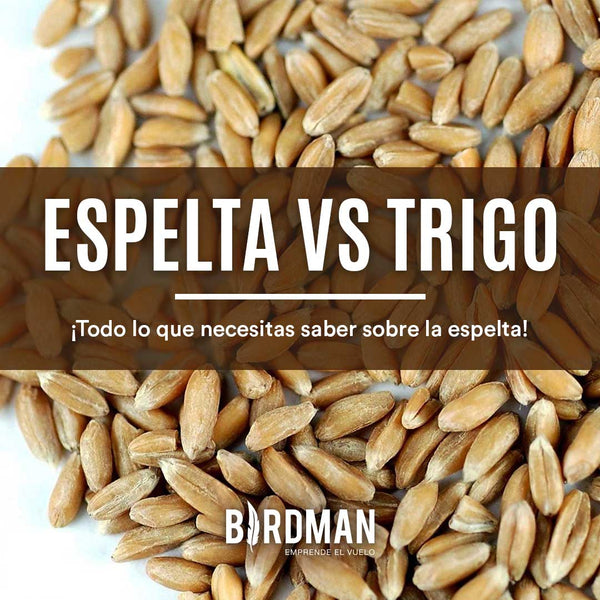La Espelta: Propiedades y Beneficios | VidaBirdman