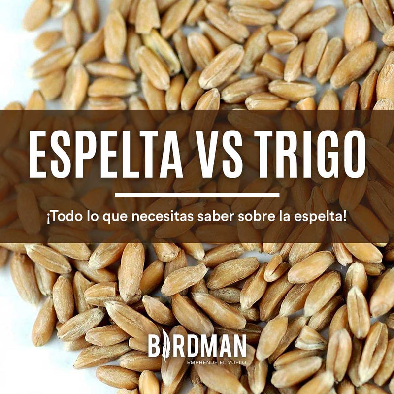 La Espelta: Propiedades y Beneficios | VidaBirdman