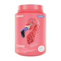 Fitmingo Protein Blueberry 1.02kg - 30 Servicios - Pack