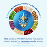 Falcon Protein Vainilla 510 g